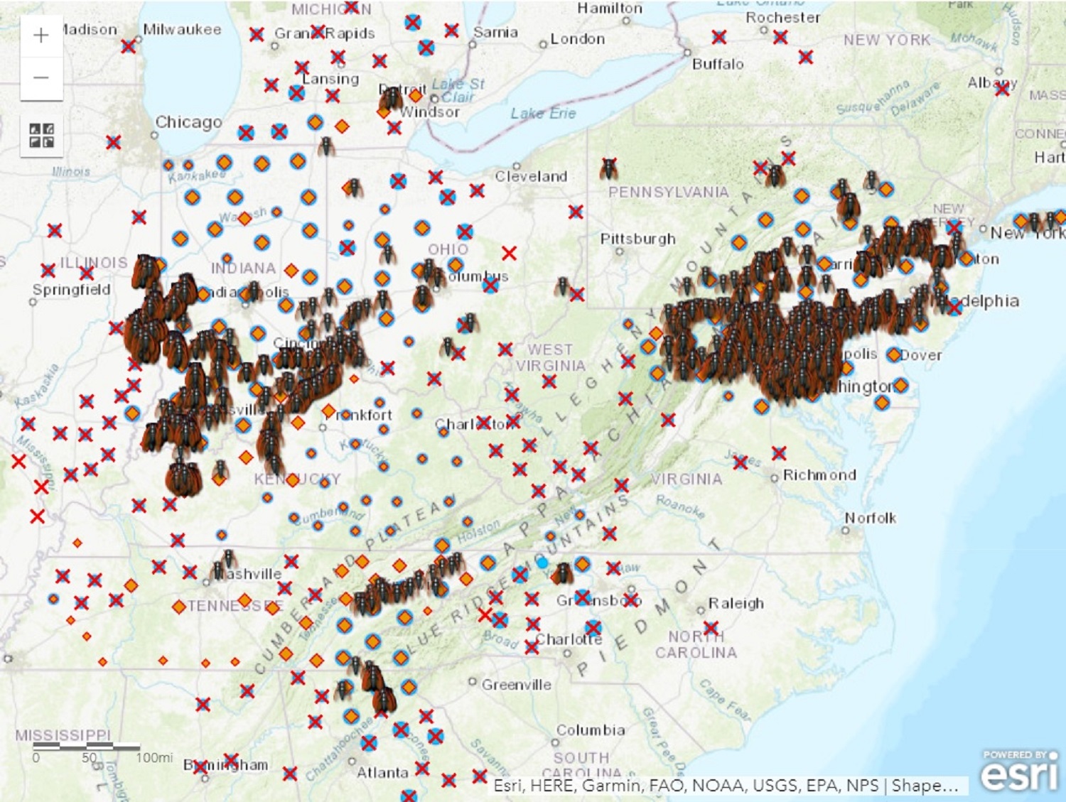 Eastern half of the US with pins and cicada symbols based on past records concentrated in the Northeast and Midwest