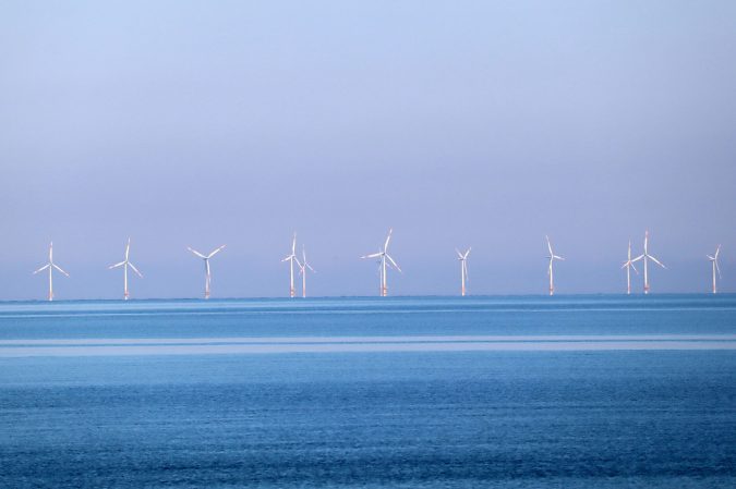 rows of offshore wind turbines