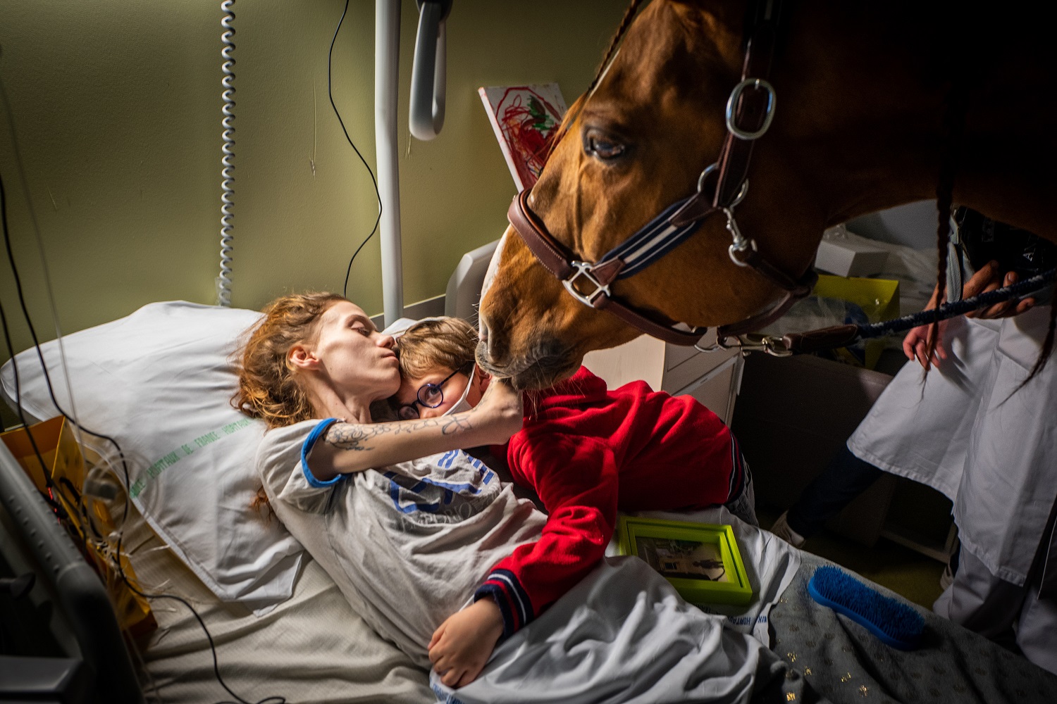 Horse in a hospital room with cancer patient and child