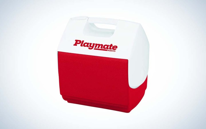  red and white Igloo 7-Quart Hardsided Playmate