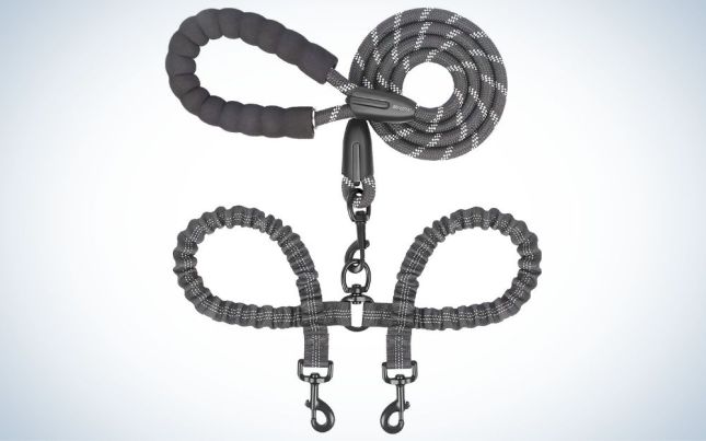 Gray double dog leash for two dogs