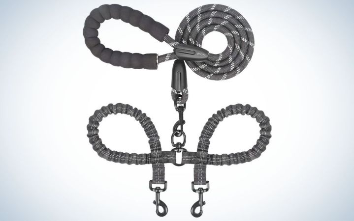  Gray double dog leash for two dogs