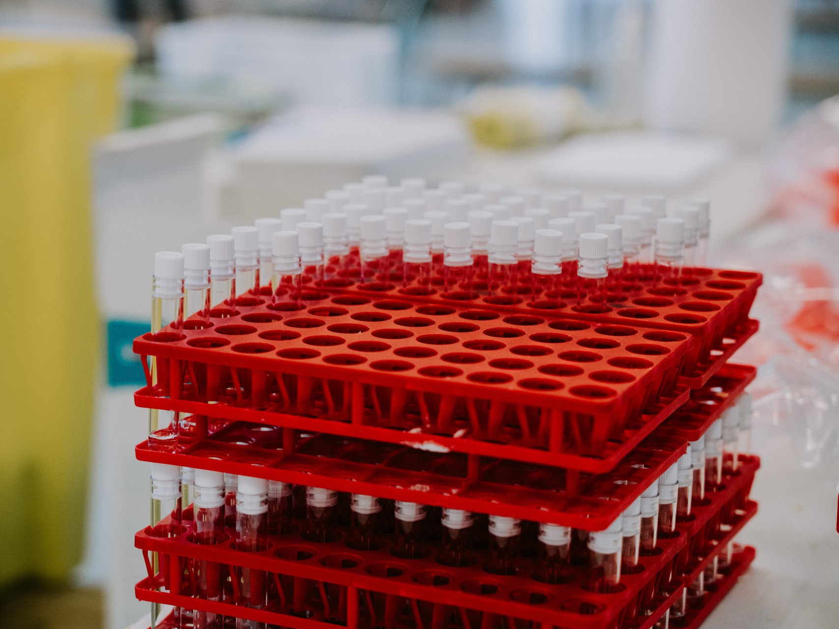 test tubes in a tray