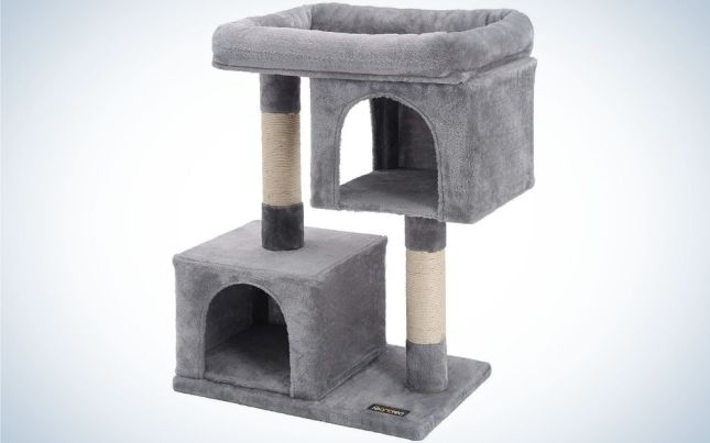 FANDReA is the best cat tree for large cats.