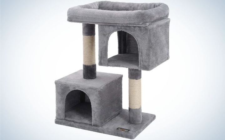  FANDReA is the best cat tree for large cats.