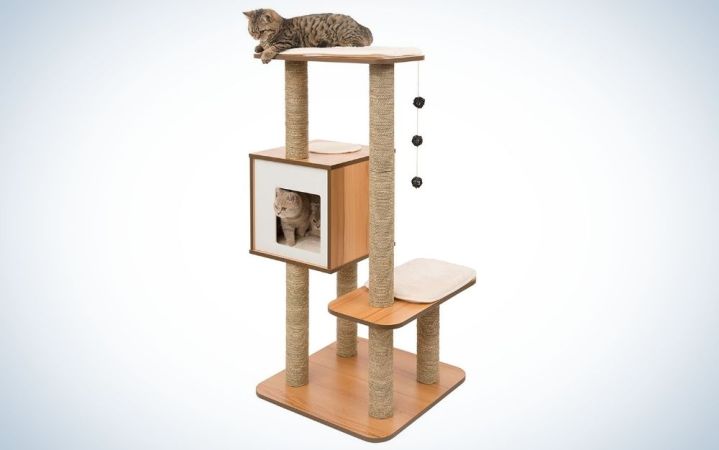  The Vesper Cat Tree is the best wooden cat tree.