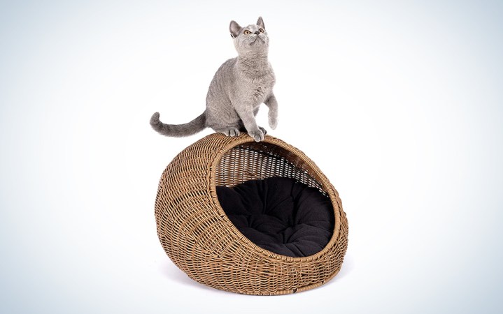  this is the best wicker cat bed