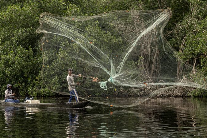 Two men throw a net from a boat in the Colombian mangroves.