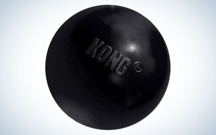  Black, rubber Kong ball dog toy