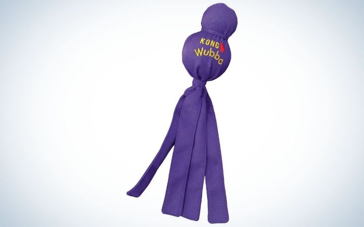  Purple Kong tug of war dog toy