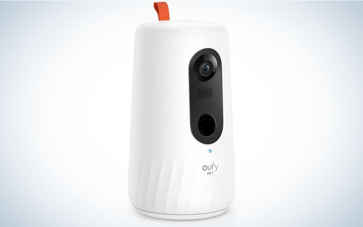  A eufy dog camera on a plain background