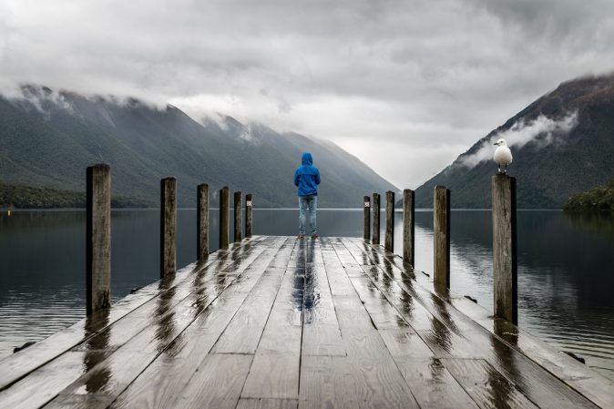 Learn to read clouds, birds, and leaves to predict the weather