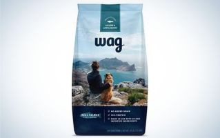 The best dry dog foods of 2024 | Popular Science