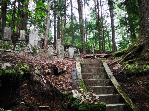 Tree-line tombstones with Japanese characters