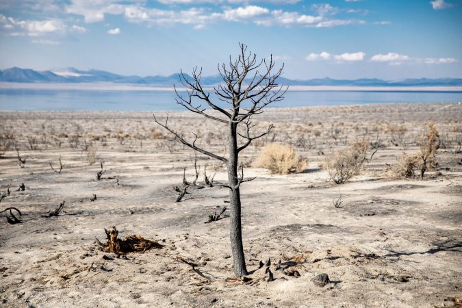 What you need to know about the heatwave and drought scorching the western US