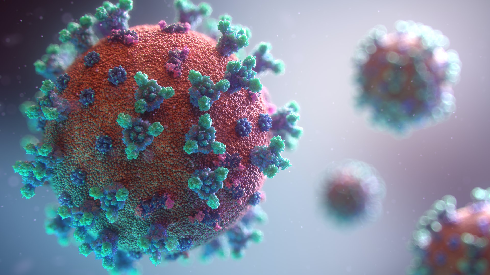 An illustration of the COVID-19 spike protein.