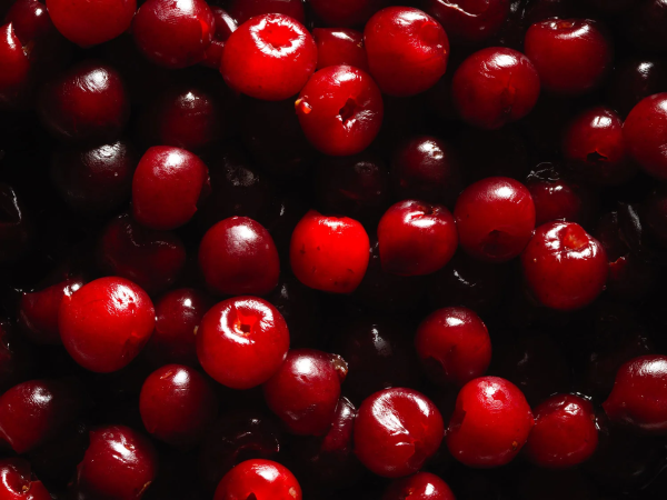 Closeup of maraschino cherries