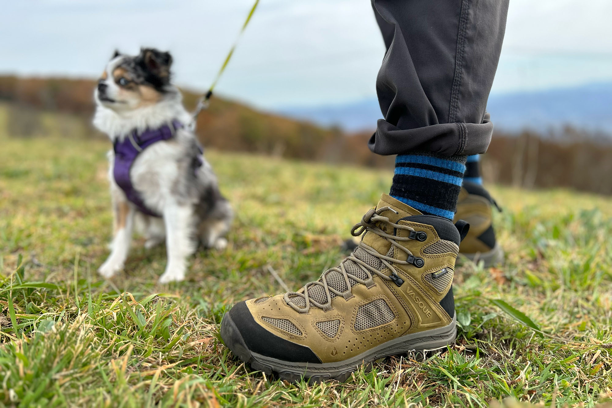 Vasque Breeze hiking boots with Charli dog