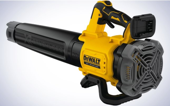 Dewalt Cordless Leaf Blower XR