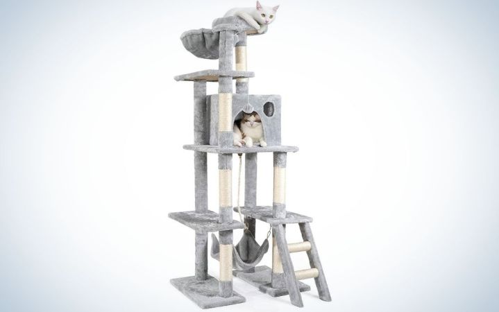  The rabitgoo Cat Tree Tower is the best cat toy for active kitties.