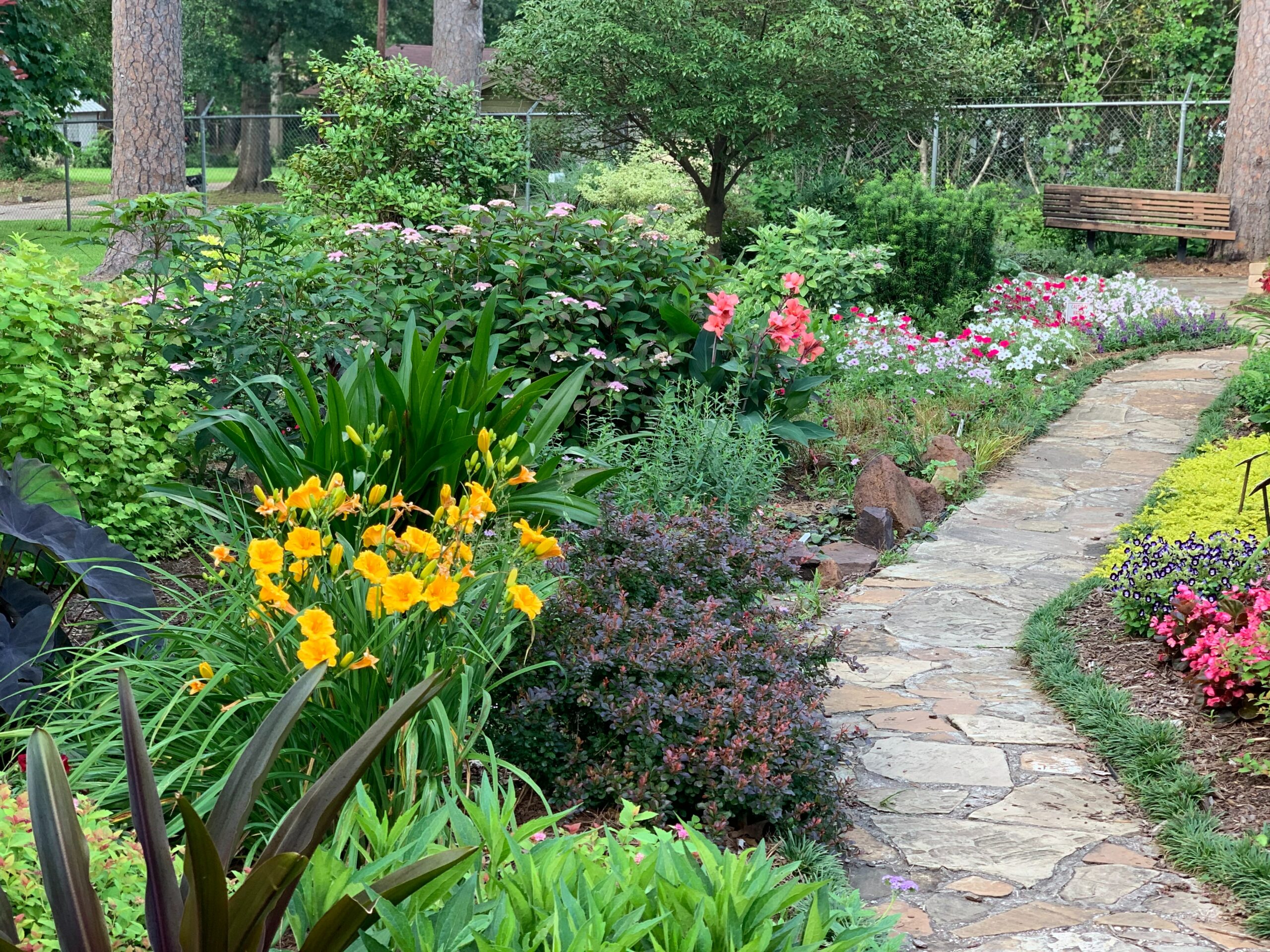 Yard garden with flowers, shrubs, bushes and trees.