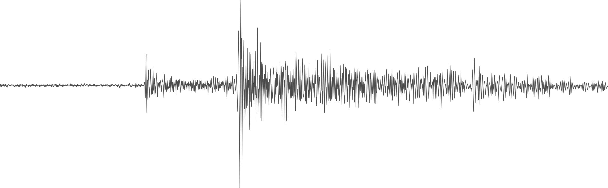 A seismogram readout from Mars.
