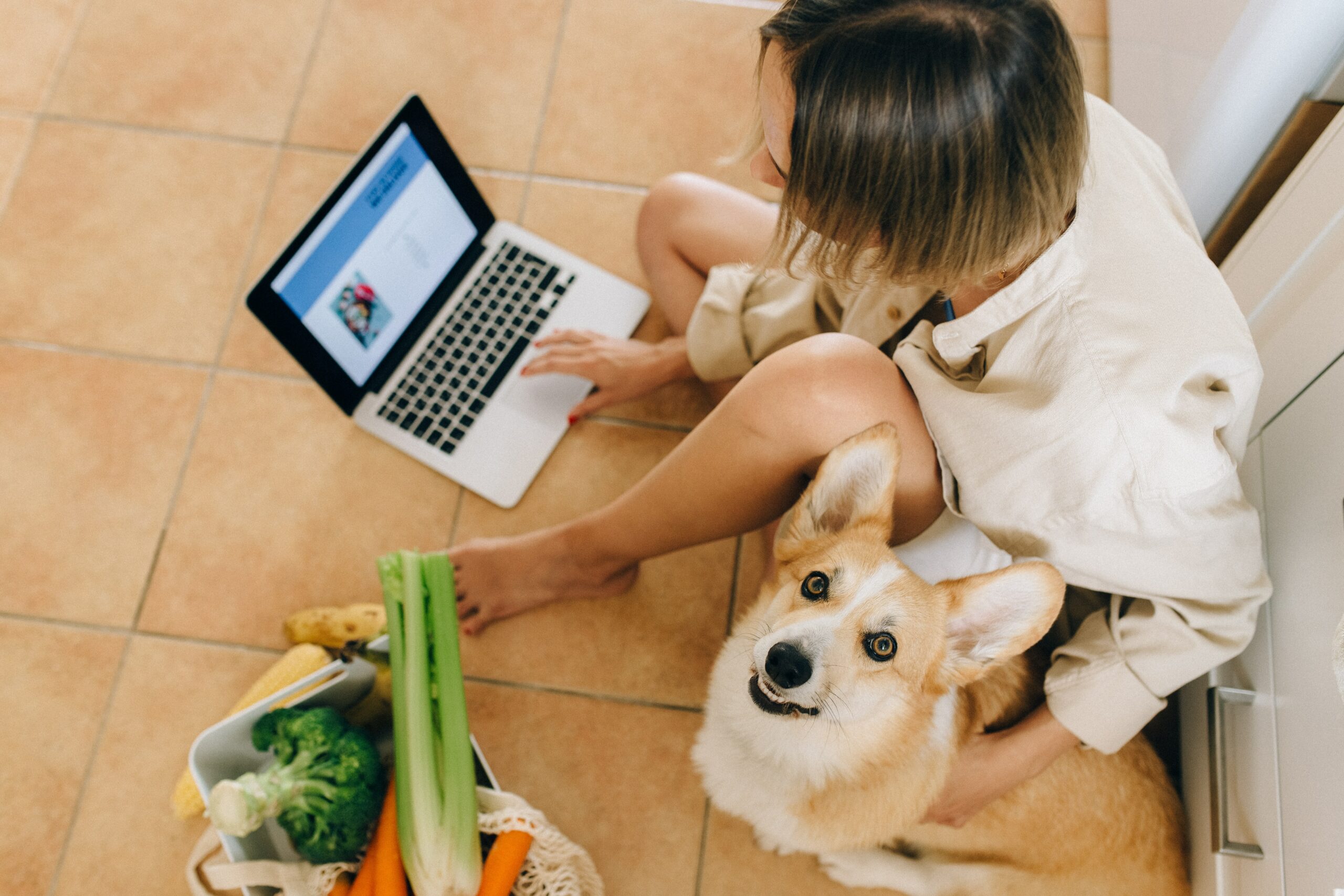 Woman on laptop with dog and bag of vegetables.
