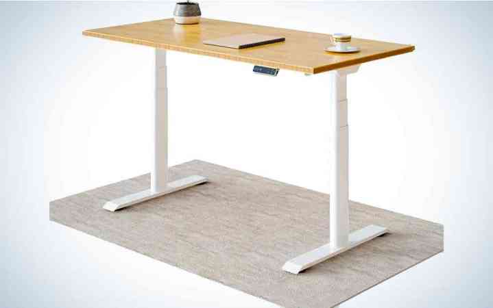  Flexispot Kana Pro Bamboo Standing Desk