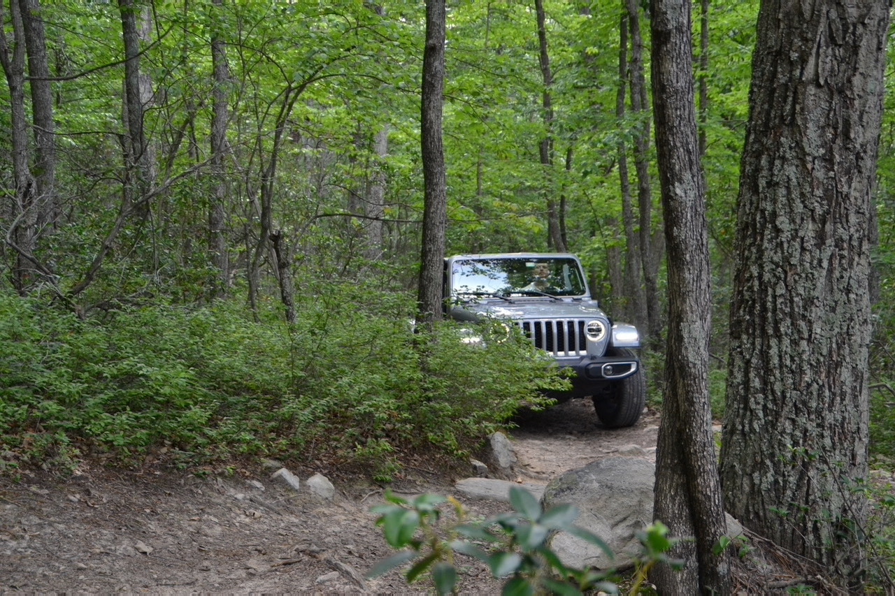 A Jeep Wranger driving through the woods