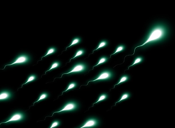 Glowing sperm on black background