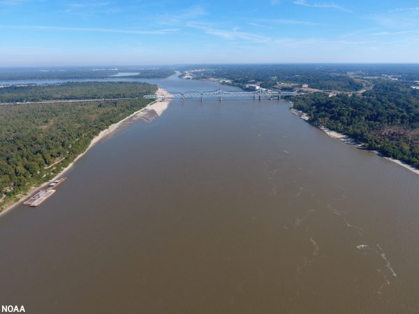 What is the ‘dead zone’ in the Gulf of Mexico, and why is it super-sized this year?