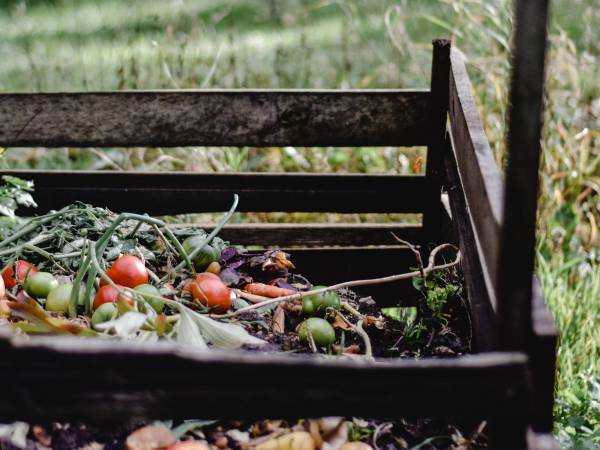 outdoors compositing pile with veggies