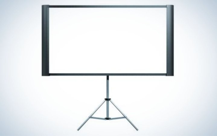  The Epson Duet is the best projector screen for business professionals.