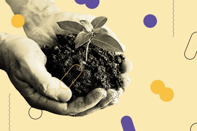 person's hands holding tiny plant growing out of soil