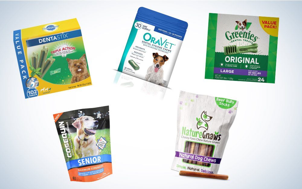 These are our picks for the best dental chews for dogs on Amazon.