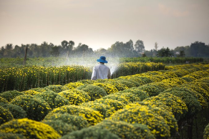 Rerouting billions in agriculture subsidies could boost global food security