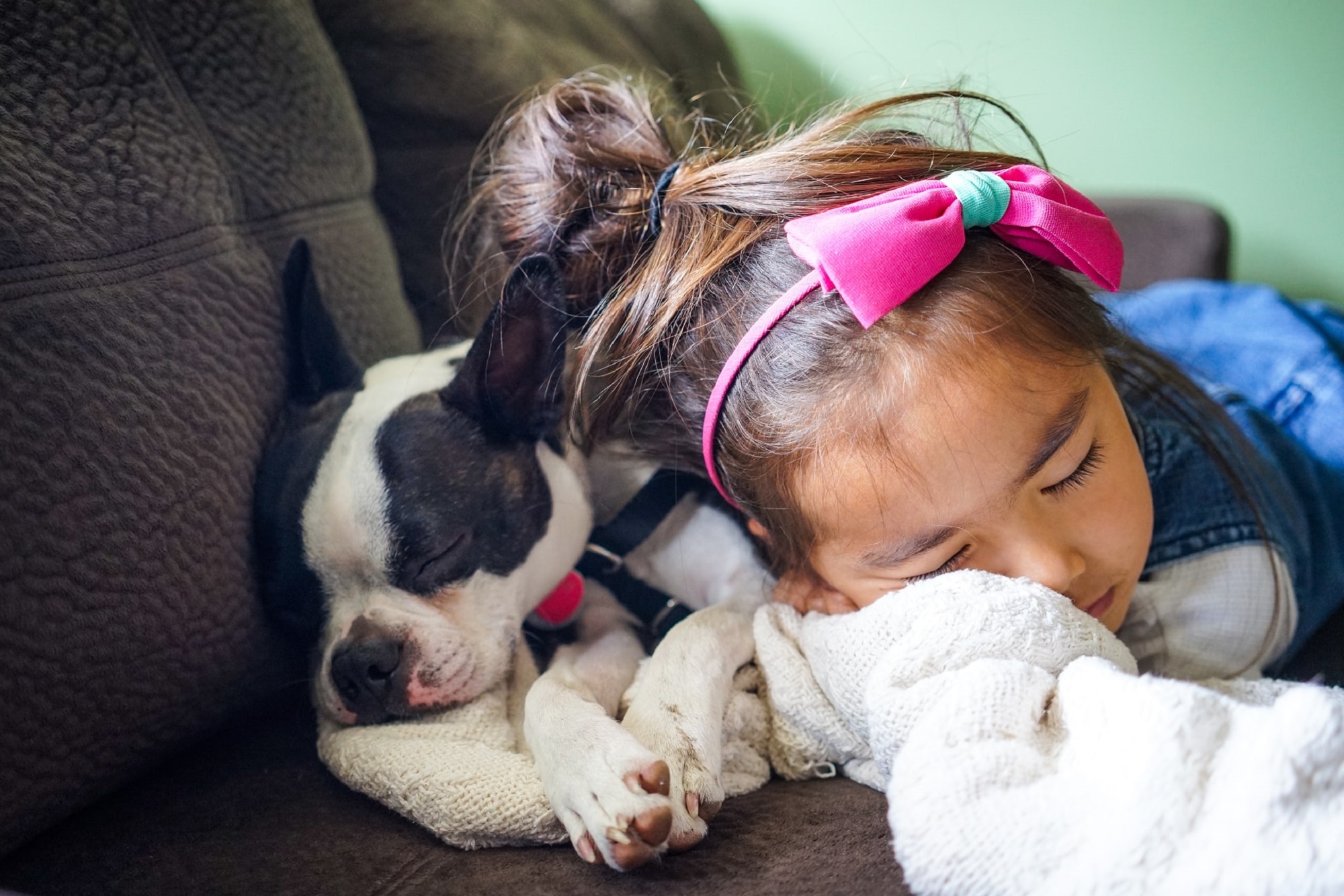 Kid and puppy taking a nap on the couch as part of a healthy sleep schedule