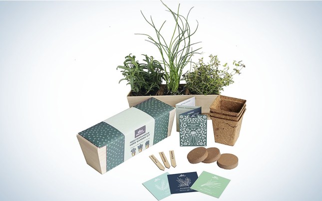 Urban Leaf Herb Garden Starter Kit is the best indoor herb garden starter kit.