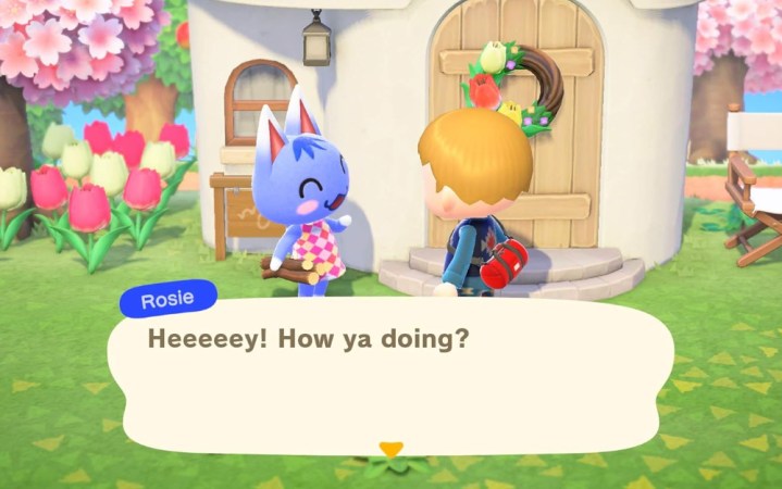  Animal Crossing New Horizons