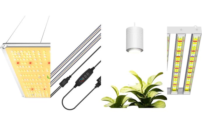 The Best LED Grow Lights