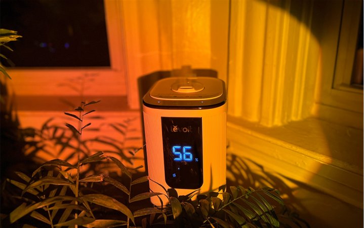  A Levoit OasisMist 1000S (10L) Smart Humidifier in sunset lighting sitting among plants.