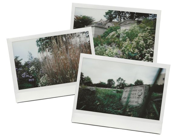 Green-Wood Cemetery in Brooklyn, New York, on three Polaroid photos