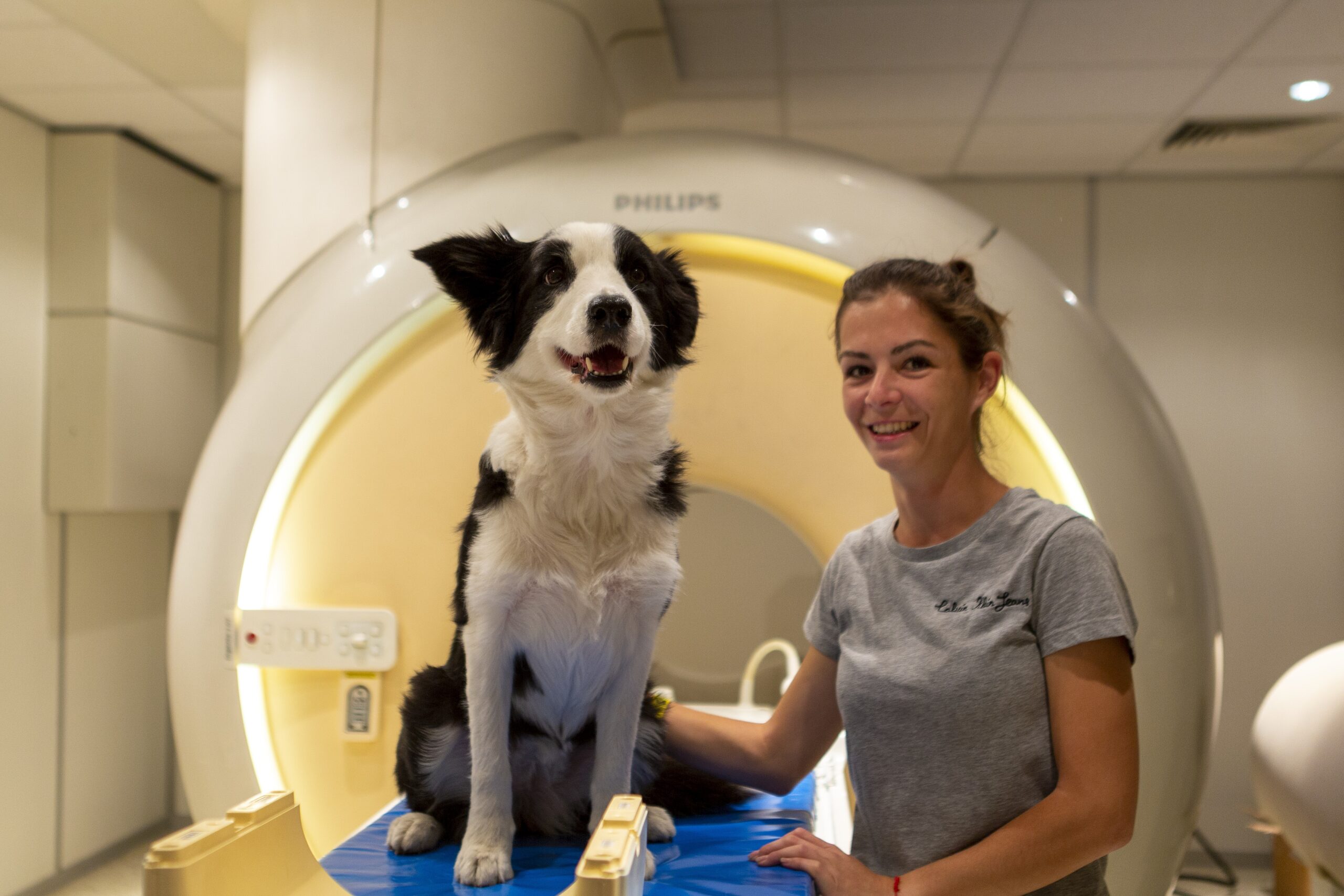 fmri dog