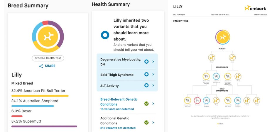  Embark dog dna test results