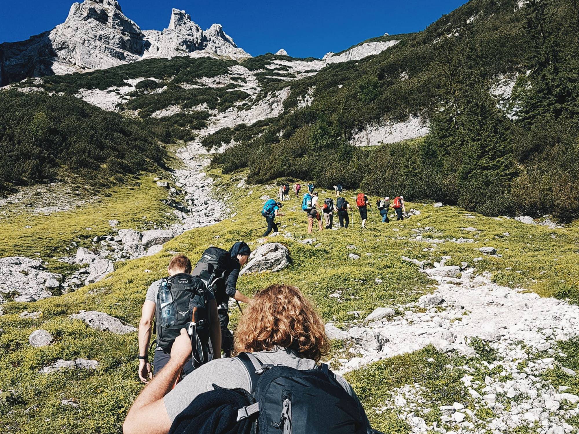 hikers single file walking on trail