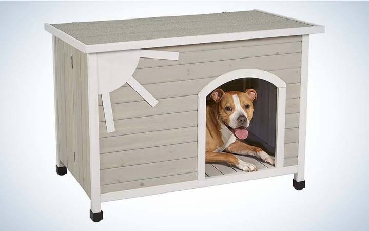  The Eillo Dog House is one of the best options available for dogs at an affordable price.