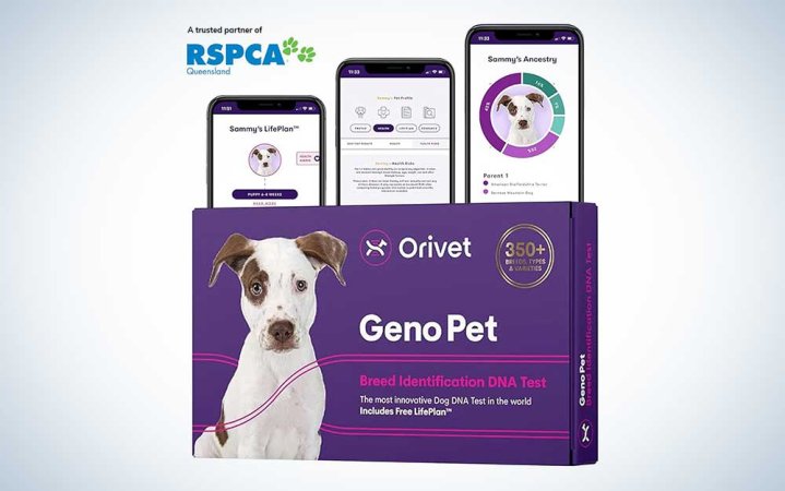  An Orivet dog dna test on a plain background