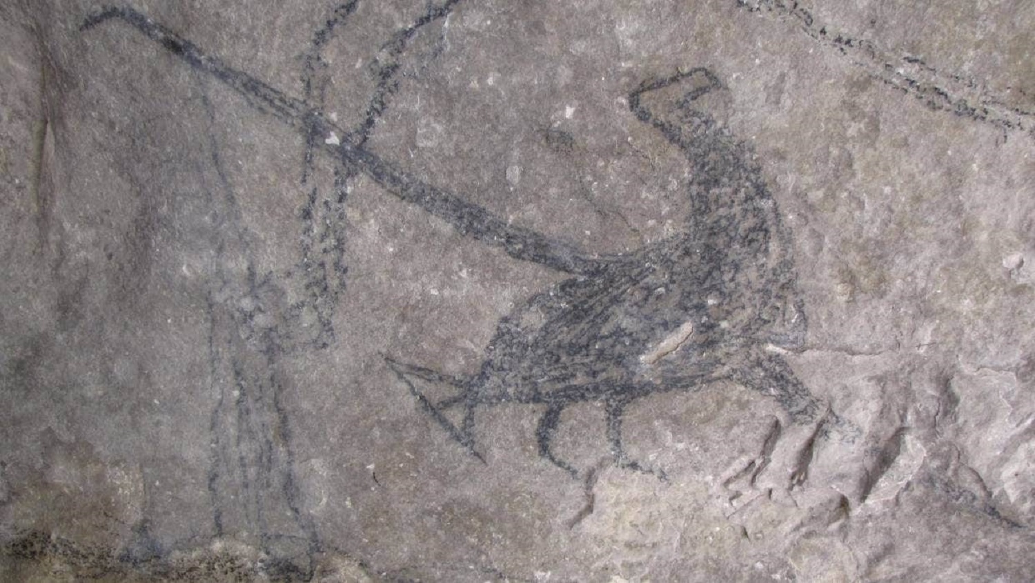 Haast's eagle in blank ink in a rock painting