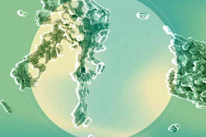 E. coli bacteria on a green background to show germ theory vs. terrain theory