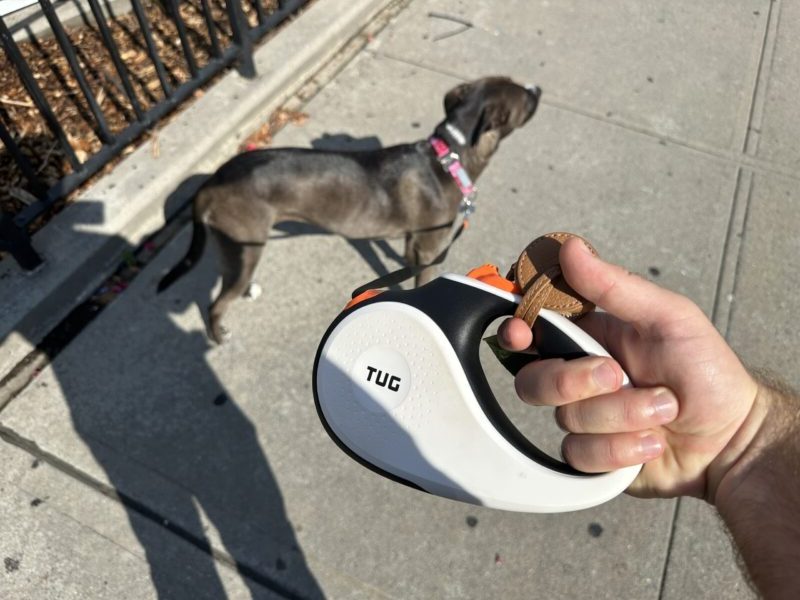 tug retractable dog leash and a dog on a sidewalk best overall retractable dog leash